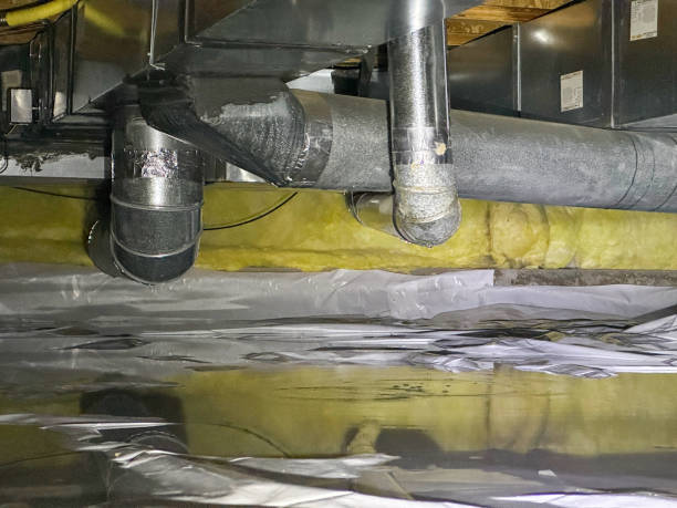 Best Water damage restoration near me  in Bridgeton, MO
